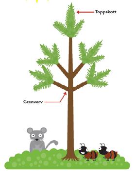 Spindelövning 6. Beskriv en grej Ämne: svenska/engelska Sätt upp siffran 6 vid en plats där det är lätt att samla en liten grupp.