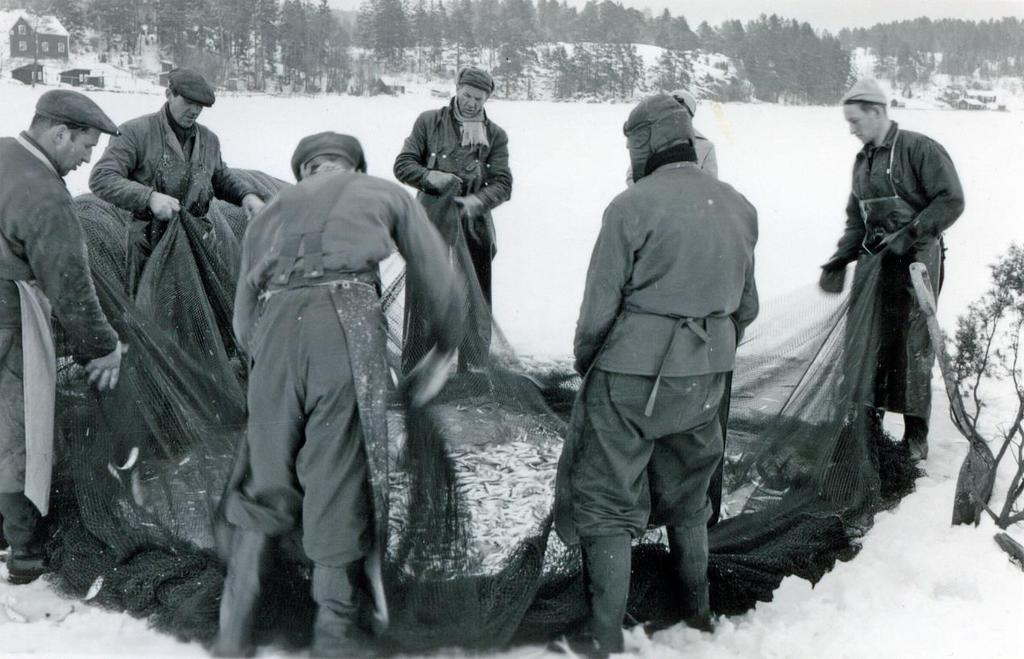 John Karlsson som är näst längst till vänster på bilden var notkung för Österhagennoten. Bilden tagen utanför Österhagen omkring 1956.