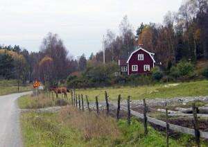 tvillingsönerna Erik och Anders födda 1884 samt sonen Sven född 1895.
