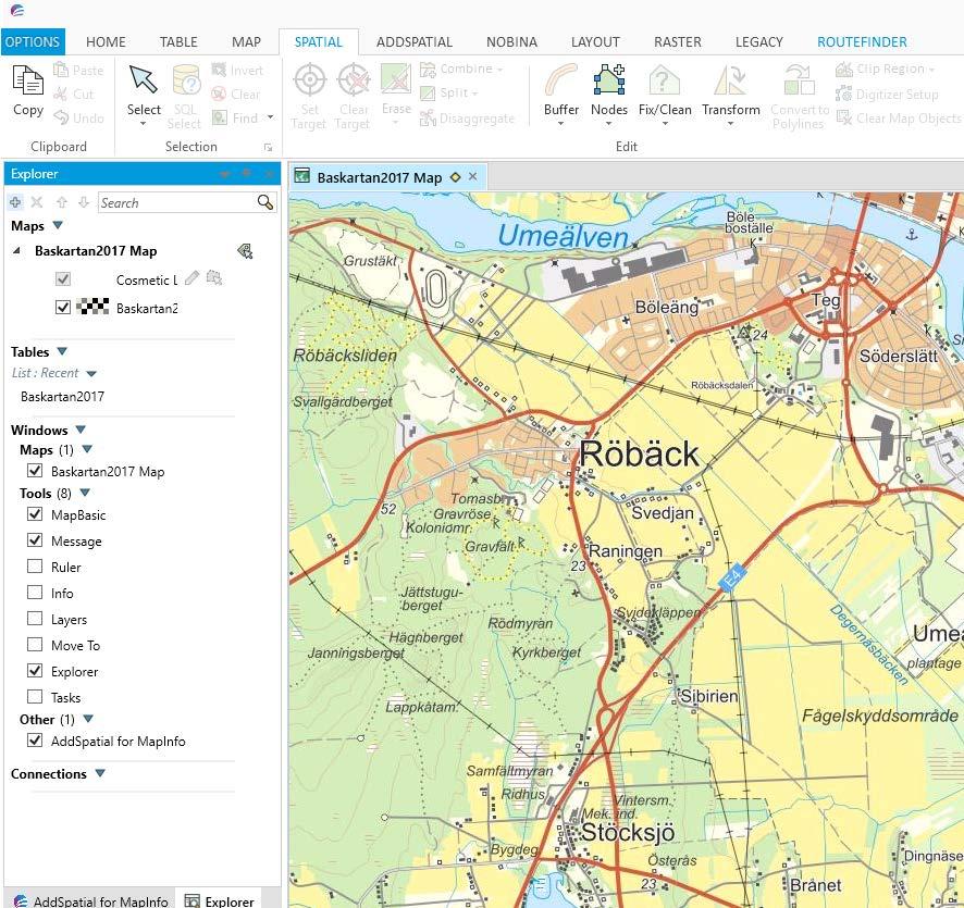 GIS Användarna Det kommer att ställas högre krav på användarna att filtrera bort data som är redundant, inte tillför mer information och inte är relevant för det område