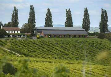 Med ett mildare klimat och allt större kunskaper om odlingsmetoder och vinifiering har brittiska odlare på senare år utvecklat särskilt vita och mousserande viner som kan mäta sig med de bästa från