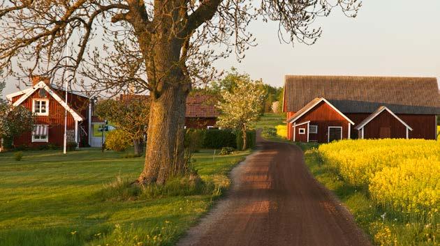 Nära hus och på vägar DU FÅR Röra dig fritt i skog och mark, på eller utanför vägar och stigar. Passera andras bostadshus på behörigt avstånd, då respekterar du den s.k. hemfridszonen.