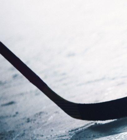 05 Vikten av bolagsstruktur För att Svenska Hockeyförbundets licensnämnd ska bevilja elitlicens måste bolaget eller föreningen som ansöker ha stabil ekonomi, god organisation, ungdomsverksamhet i