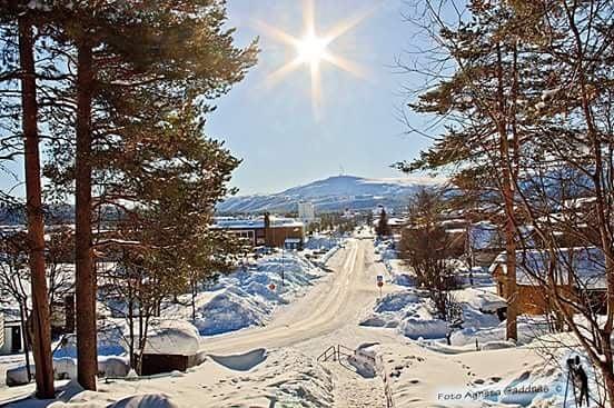 NMT-dagar i Lund Natur o teknik, alla årskurser, plus Monikas datagrupp åker till Lund onsdag 14 mars. Avresa kl 8:10 hemma ca 17:30.