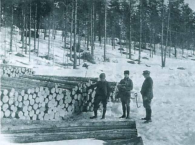 Virkesmätning i omvandling Under 1900-talet omvandlades virkesmätningen kraftigt dels under 1930-talet och dels under 1960-talet.