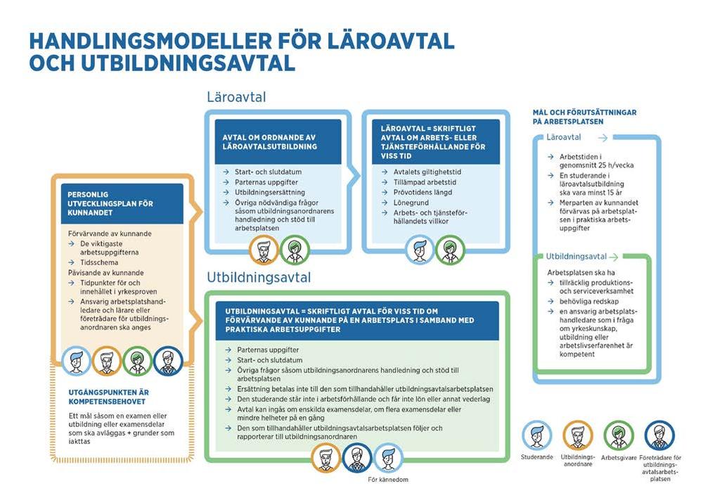 Diagram: Läroavtal och utbildningsavtal. Undervisnings- och kulturministeriet.