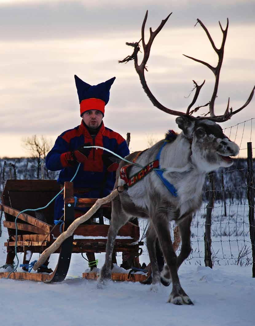 LÄTTVIKTSSPIKAR De spikar som numera ingår som standard i våra tält kombinerar låg vikt med maximal styrka.