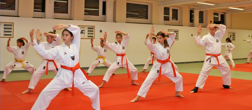 Kampsport Landskrona Shotokan Academy bjuder in pojkar och flickor i åldern 7-20 år att prova på olika kampsporter som MMA, boxning, thaiboxning och karate.
