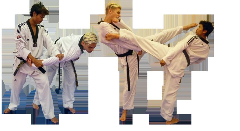 Taekwondo Landskrona Taekwondo Akademi erbjuder tjejer och killar från 7 år att prova taekwondo.