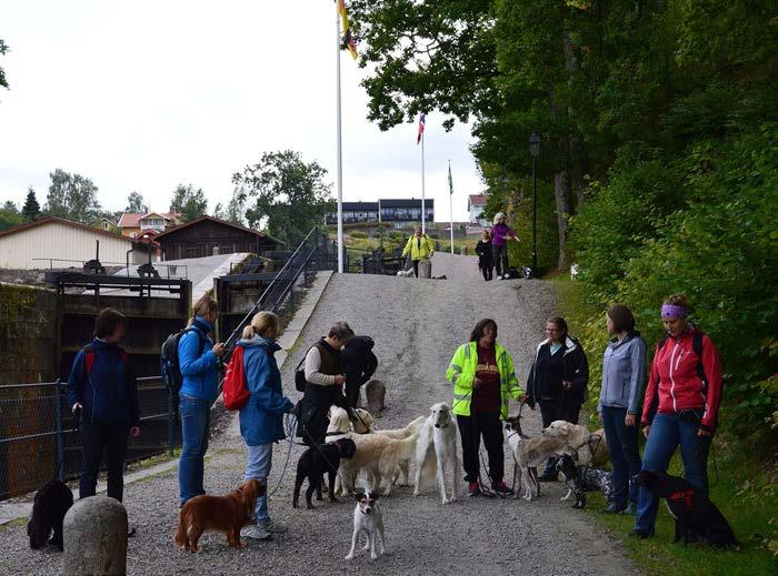 Söndag 20/5 klockan 14.00 Tema : Inkallning i lina. Ta med egen eller några finns att låna. Anneli leder promenaden. Samling vid Bygdegården i Hjärtum för vidare gemensam färd till Väktorsjöarna.