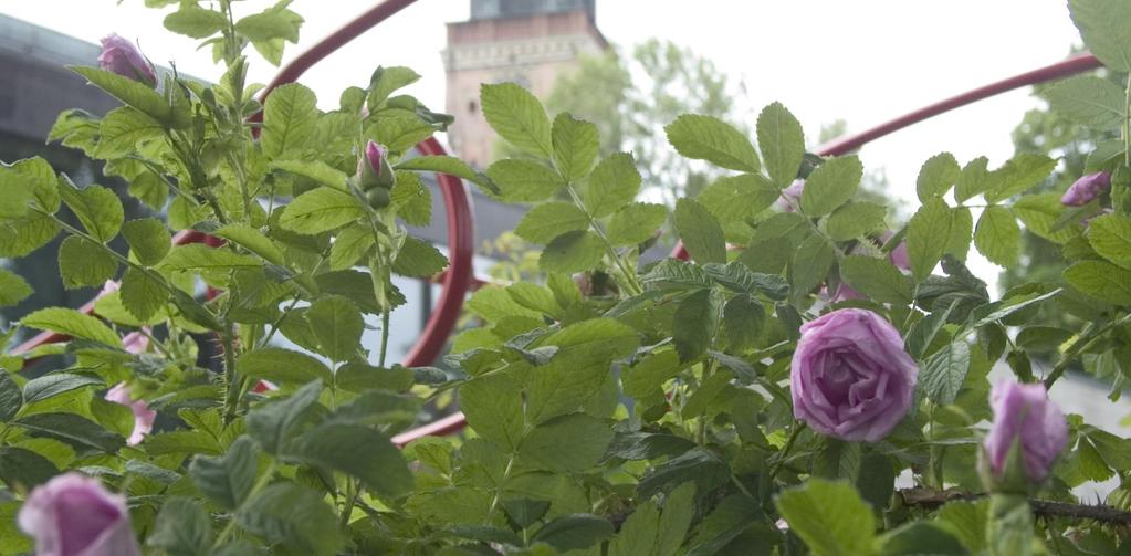 VÄLKOMMEN!
