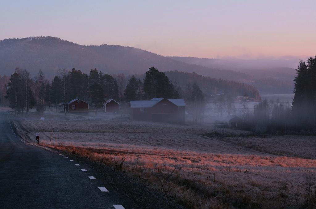 Sömnskolan steg 5 Fundera över vad som fungerade i de olika stegen. Kan du göra mer av det? Finns det någon period i sömnskolan då du sovit bättre?