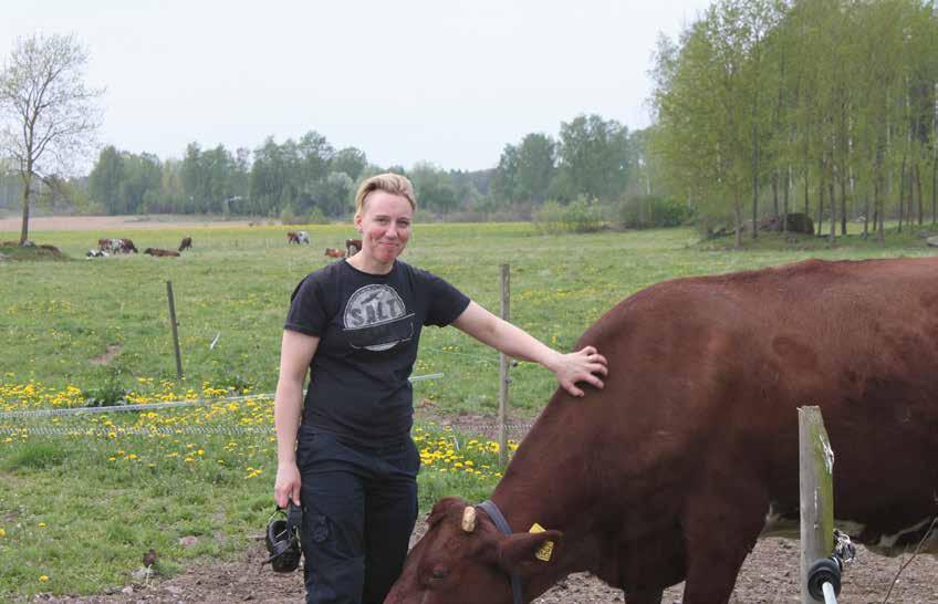 Anna Olzén, veterinär - Vi måste alla prata mer om smittskydd! Paulina Lingers, Veterinär Vi måste a smittskydd i ryggmärgen!
