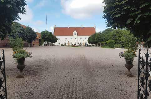 På sommaren betar djuren på obesprutade naturbetesmarker och under vintern utfodras korna med KRAV-odlat vallfoder och godkända mineraler.