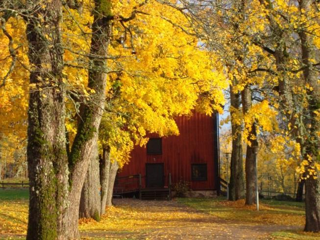 (vänster bild från websidan, höger bild: Ola Langvall) I övrigt ser flera avnämare gärna att man utökar programområdet och för in biologisk mångfald också när det gäller KLIMAT och med tydligare
