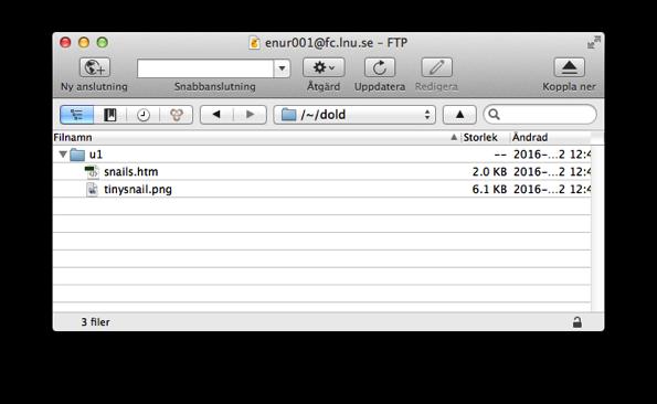 Expandera mappen u1, genom an klicka på pilen &ll vänster om den. Byt ut filen snails.htm i u1, genom an dra den från din dator &ll symbolen för u1 i FTP-programmet.