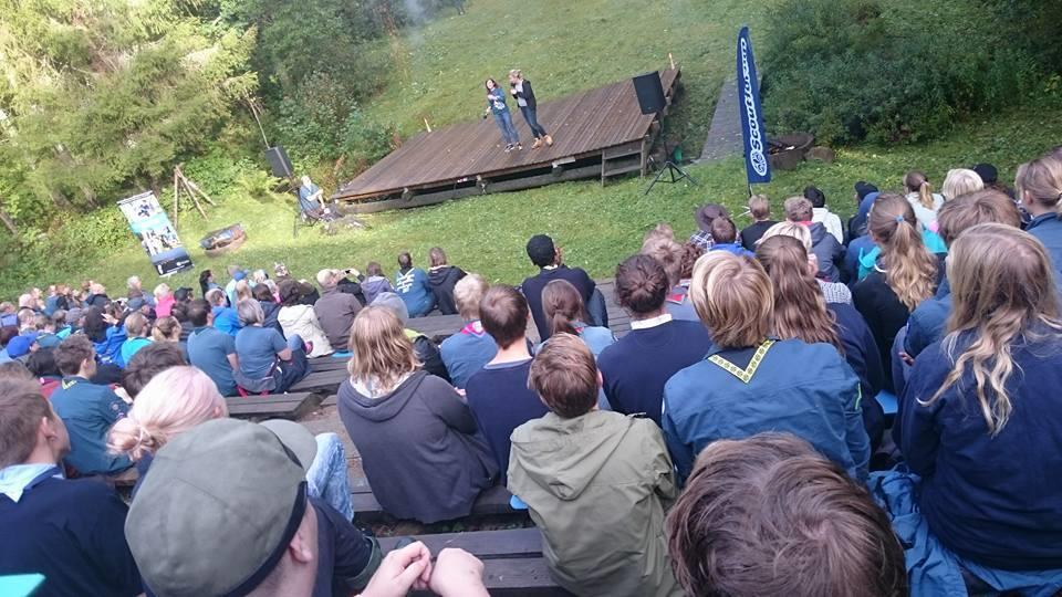 Styrelsen för Nordöstra Götalands Scoutdistrikt hade under 2015 nio stycken protokollförda möten, tre lite längre träffar; avspark i januari, Styrelseavslutning i Svärtinge i juni samt en