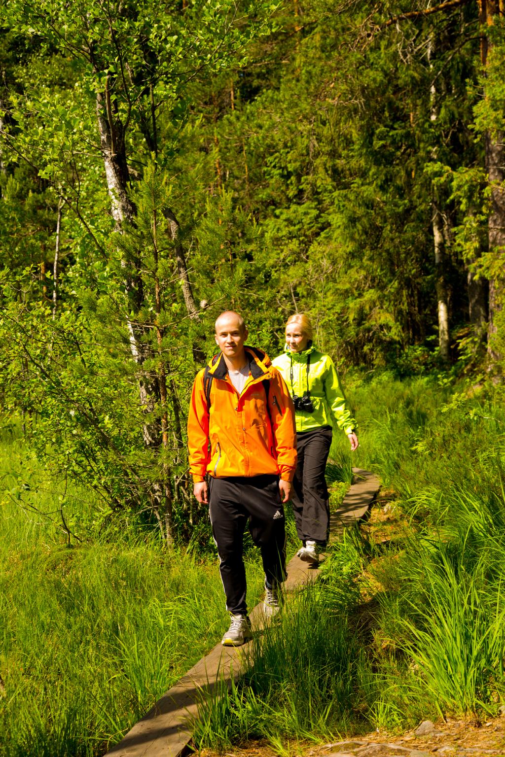 RAPPORT Sari Jaakola Outi Lyytikäinen Ruska Rimhanen-Finne Saara Salmenlinna Carita Savolainen-Kopra Kirsi Liitsola Jari Jalava Maija