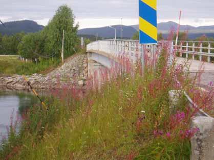 Bron över Blackälven, öster om Blackälven är i länsstyrelsens inventering av kulturhistoriskt värdefulla broar klassad som klass II (bro med höga kulturhistoriska