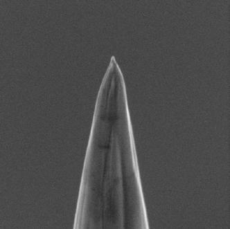 µm 10 µm 10 µm 10 µm 2 µm