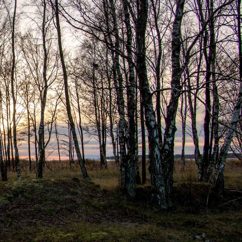 Innehåll ORDFÖRANDENS INLEDNING...4 VISION OCH VÄRDEGRUND...5 BOLAGETS UPPDRAG...6 UPPLEVELSESTADEN...6 ÖVERGRIPANDE MÅL...7 OMVÄRLDSBEVAKNING...8 SWOT-ANALYS...10 VÄRDEGRUND.