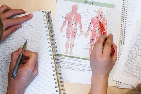 Samira Hammid och Isabella Johansson Souza Naturvetenskapsprogrammet individuella val + + Maxa - Meritvärde 200 Moderna språk 100 Engelska 7 100 + + Idrott -