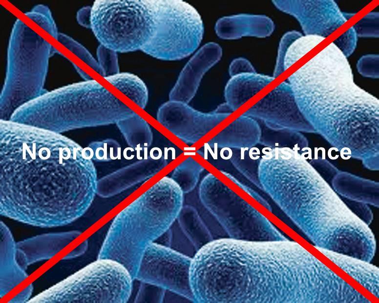 KAN CLO 2 ORSAKA BAKTERIER ATT UTVECKLA RESISTENS? NEJ, ClO 2 orsakar INTE bakterier eller organismer att utveckla resistens.