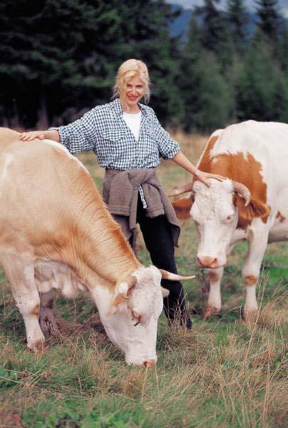 ekonomi Kostnaden för ett system med en biogasanläggning med elproduktion varierar med storlek.