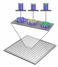 Immunovias lösning Immunovia utvecklar ett standardiserat test för tidig diagnostisering av pankreascancer.