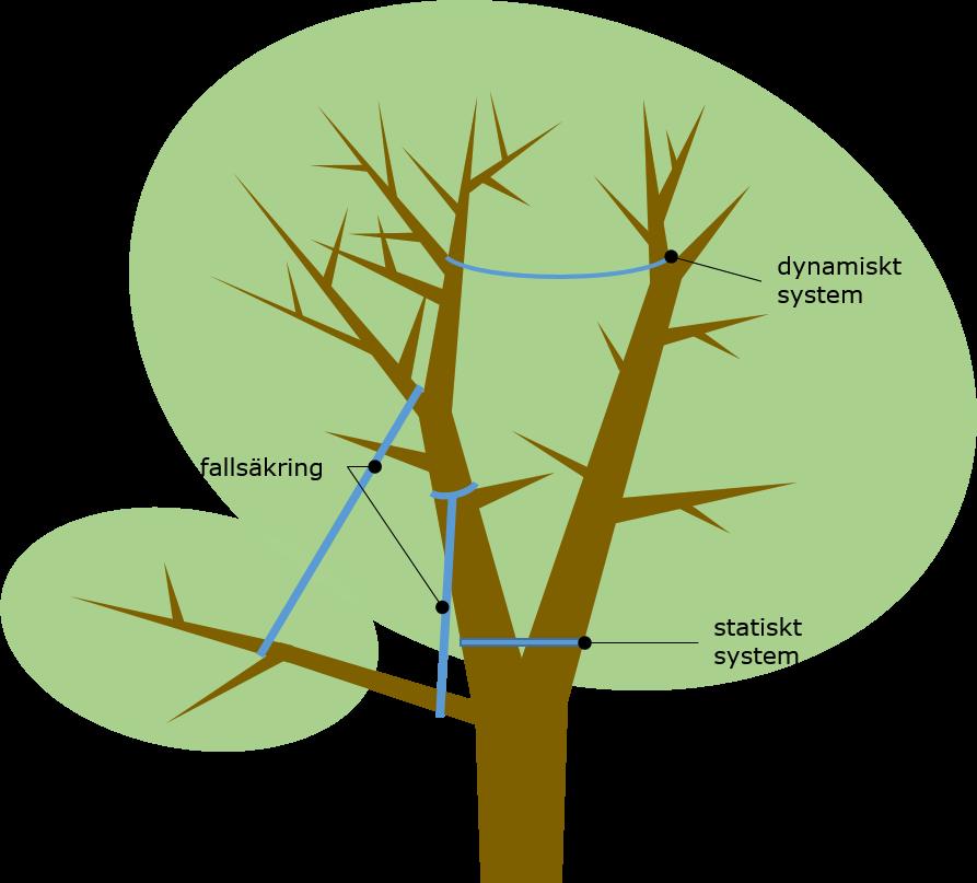 Definition enligt Svensk Standard (2014): system som installeras i trädkronan för att förhindra