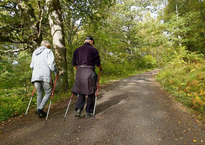 rättvis bild av kommunens långsiktiga finansiella handlingsutrymme ska soliditeten mätas inklusive hela pensionsåtagandet. Skövde kommuns soliditet är stark tack vare goda resultat från tidigare år.