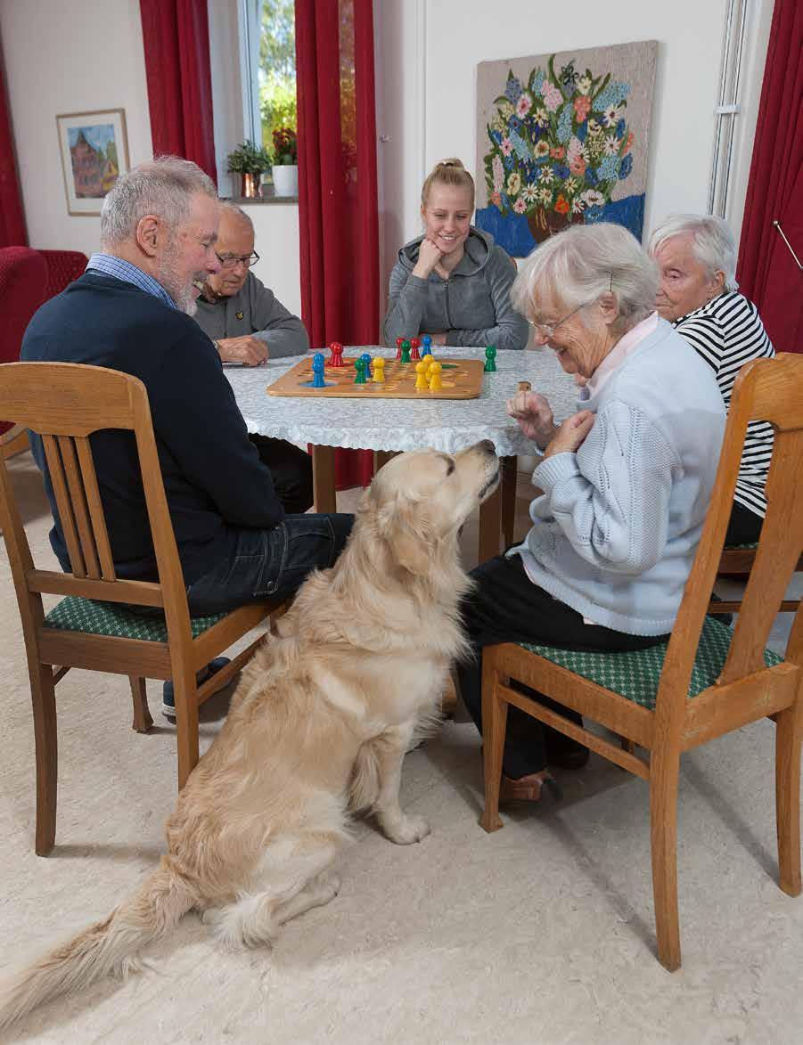 5 Nämnder Kommunstyrelsen... 40 Barn- och utbildningsnämnd... 42 Vård- och omsorgsnämnd... 44 Socialnämnd.