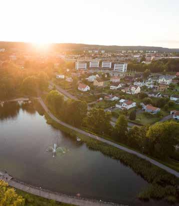 Styrdokumentet beslutas av kommunfullmäktige och innehåller bland annat mål och inriktning för verksamheterna, beslut om skattesats, resultat-, balans-, kassaflödes- och investeringsbudget för