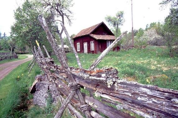Vår mat är en del av våra traditioner där jordbruk och levnadsförhållanden har påverkat utbud och tillgång över tid.