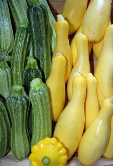 Saftig Squashpaj för 4 personer Pajdeg: 125 gram smör 250 gram vetemjöl ½ tesked salt 1-2 matskedar kallt vatten Ugnsvärme 200 grader Blanda ingredienserna till pajdegen Tryck ut i en pajform som sen