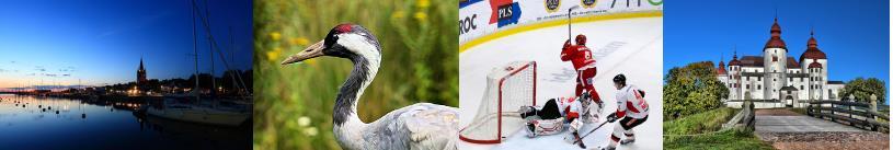 Skaraborg mellan Vänern och Vättern (SkaS) uppdrag är att tillhandahålla specialistsjukvård av hög kvalitet för befolkningen i sitt närområde och i tillämpliga delar för befolkningen som helhet.