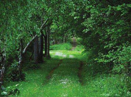 SOMMARKRYSS BILD: PIXABAY.