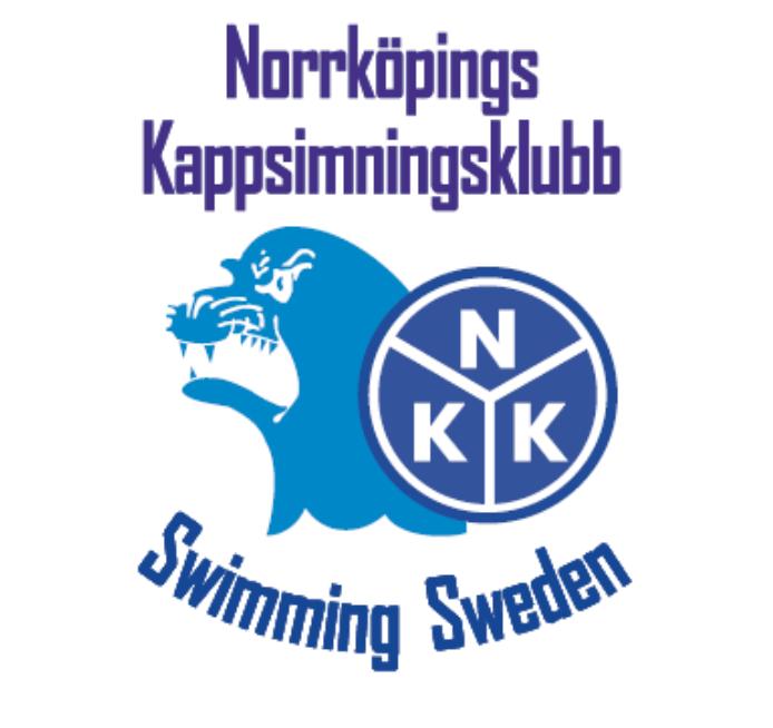 VERKSAMHETSPLAN 2018