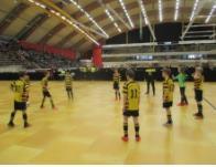 30 Förhoppningsvis extra Futsalträning 1 ggr/vecka dec-jan plus strötider runt jul Möjlighet att träna med P04 för de som vill, bra möjlighet för de som inte har annan