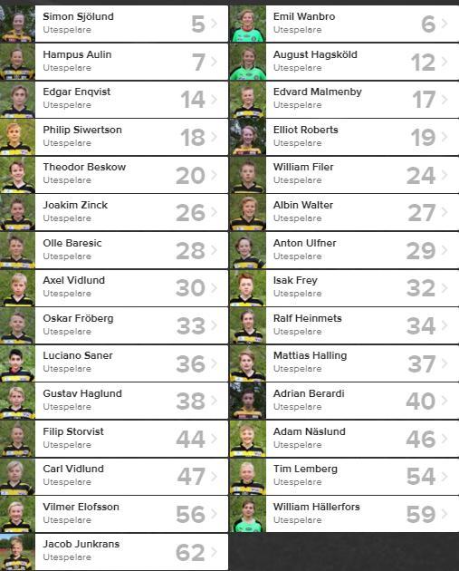 ORGANISATION LEDARE OCH SPELARE Spelare Truppen har 2017 bestått av 28-29