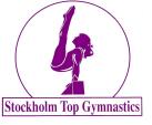 VERKSAMHETSPLAN 2018 FÖR STOCKHOLM TOP GYMNASTICS Med stora satsningar och investeringar i ny hall, nya redskap och fler personal blir målet för verksamhetsåret 2018 att fortsätta den konsolidering