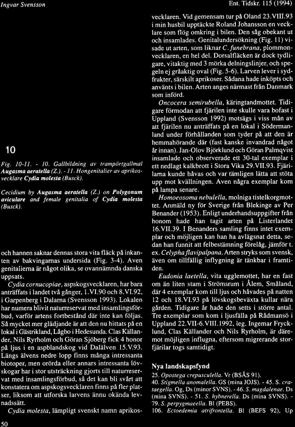 Ingvar Svensson 10 Fig. l0-ll. - 10. Gallbildning av trampdrtgallnnl Augasma aeratella (2.). - 11. Hongenitalier av aprikosvecklare Cydia molesta (Busck). Cecidium by Augasma aeratella (2.