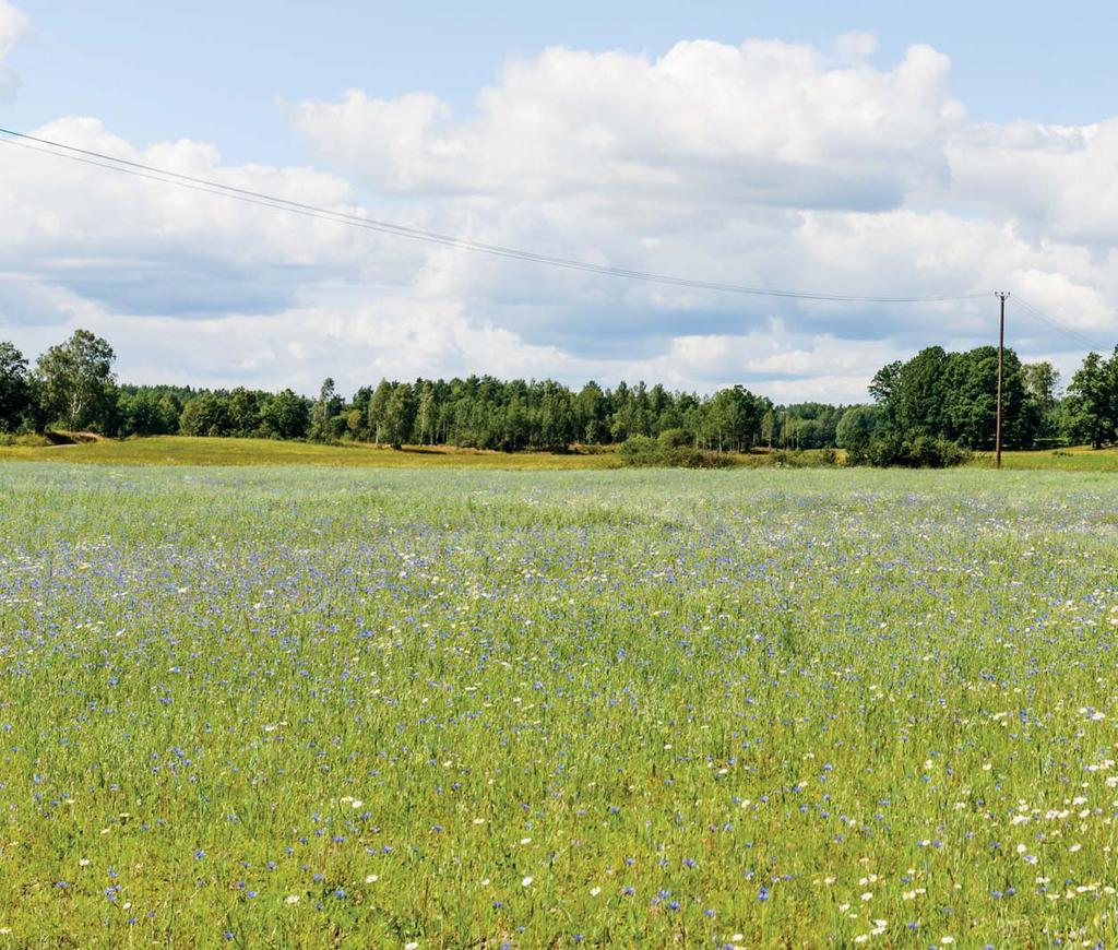 Maj 2018 Miljöbedömning av energi