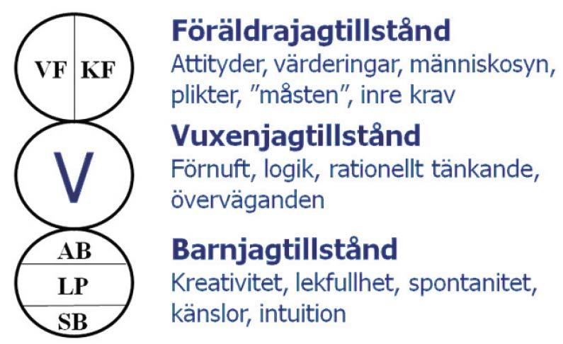 Kapitel 2 Medvetandegörande kommunikation Sida 5 av 16 Transaktionsanalys som modell för beslutsfattande Transaktionsanalys, förkortat TA, utvecklades ursprungligen av den kanadensiske psykiatern