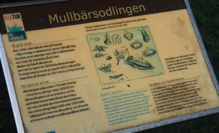 1828-29 års riksdag behandlades ett förslag om att anlägga 20-25 000 tunnland ekplanteringshagar i Östergötland, Småland, Blekinge eller Skåne.