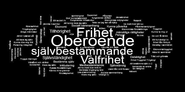 användarvänlighet, bestämma över mitt liv, inte vara ensam, att känna sig säker, bestämma själv, socialt nätverk, rätt resurser, gemenskap, klara mig själv, behålla min värdighet, jämlika