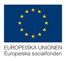 Europeiska socialfonden stöder projekt som motverkar utanförskap och främjar kompetensutveckling Öka övergångarna till arbete eller studier Nu kan ni söka stöd för projekt inom programområde 2, Ökade
