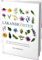 SE Upptäck medicinalväxter, deras läkande egenskaper och lär dig hur du utvinner deras helande