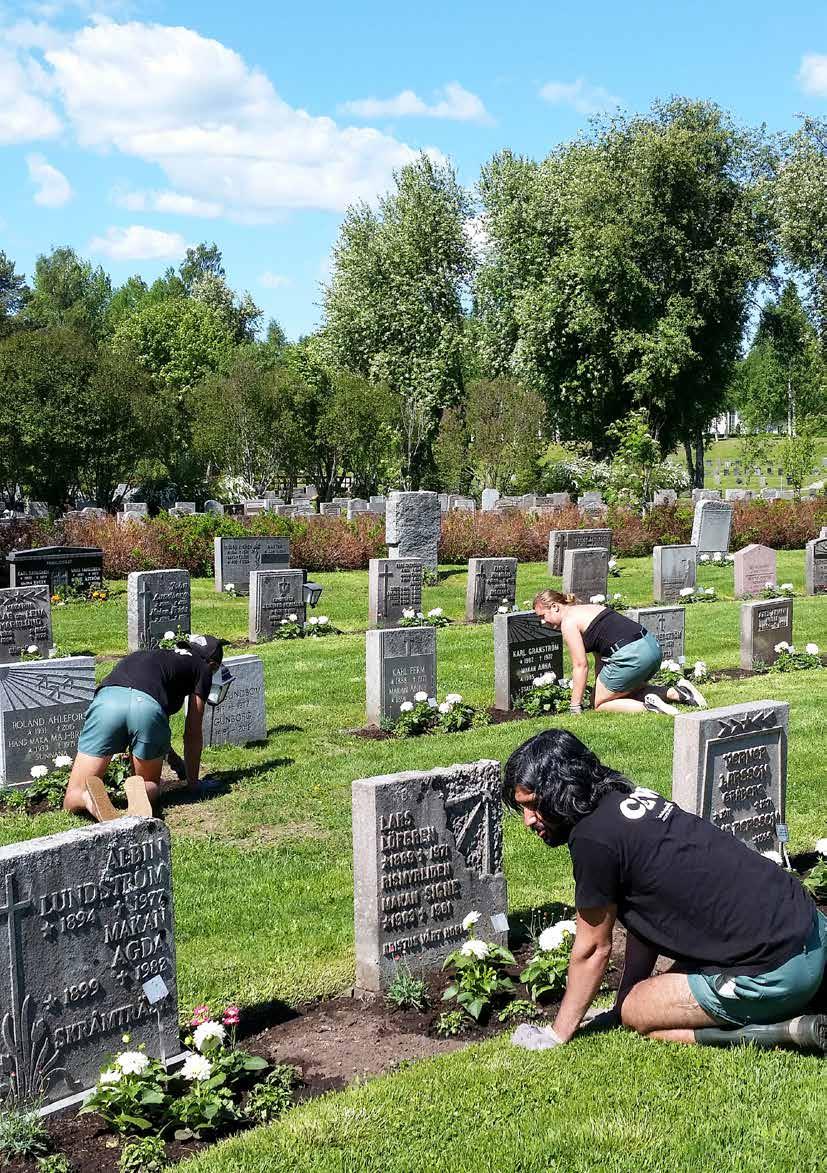 UTBILDNING 2018 Sveriges