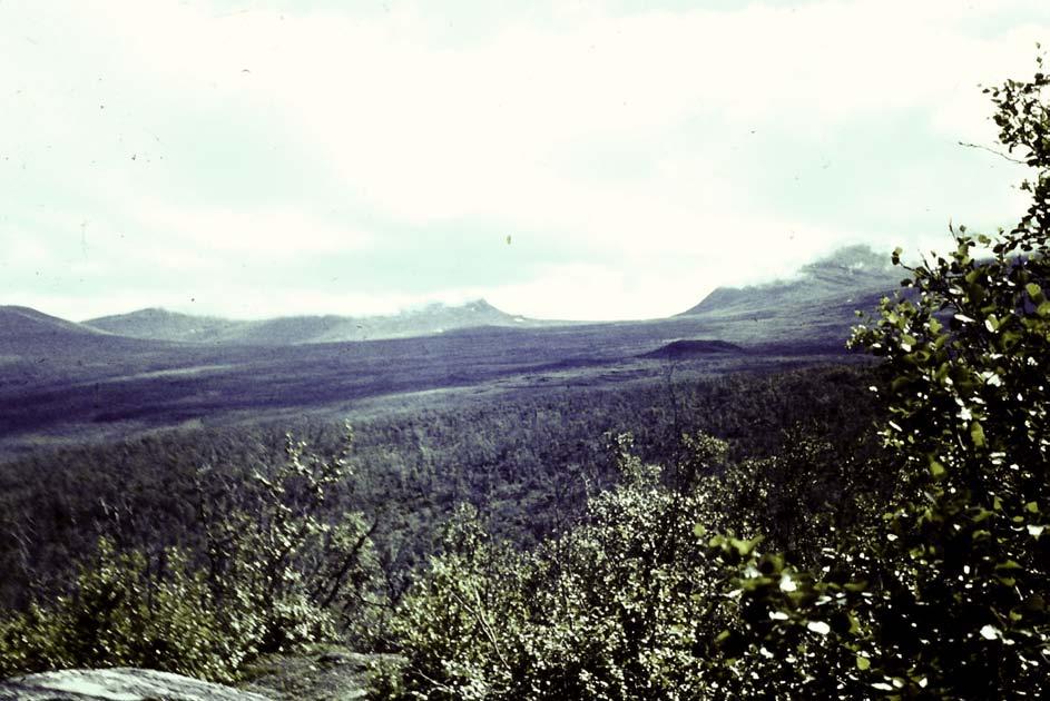 I Abisko hade vi scoutläger en sommar. Här en känd vy Lapporten.